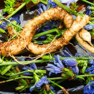 Inulina (de raíz de achicoria)